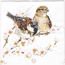 Serwetka -3301-- MINI 25x25 cm ptaszki /  wzór 4 krotny